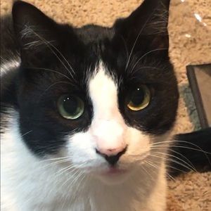 Meet your Posher, Sara